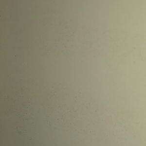 Meet your Posher, Merfelia